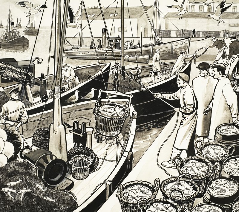 Puerto pesquero no identificado con peces en el muelle de English School