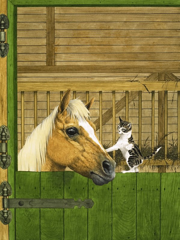 Caballo no identificado y gatito juguetón de English School