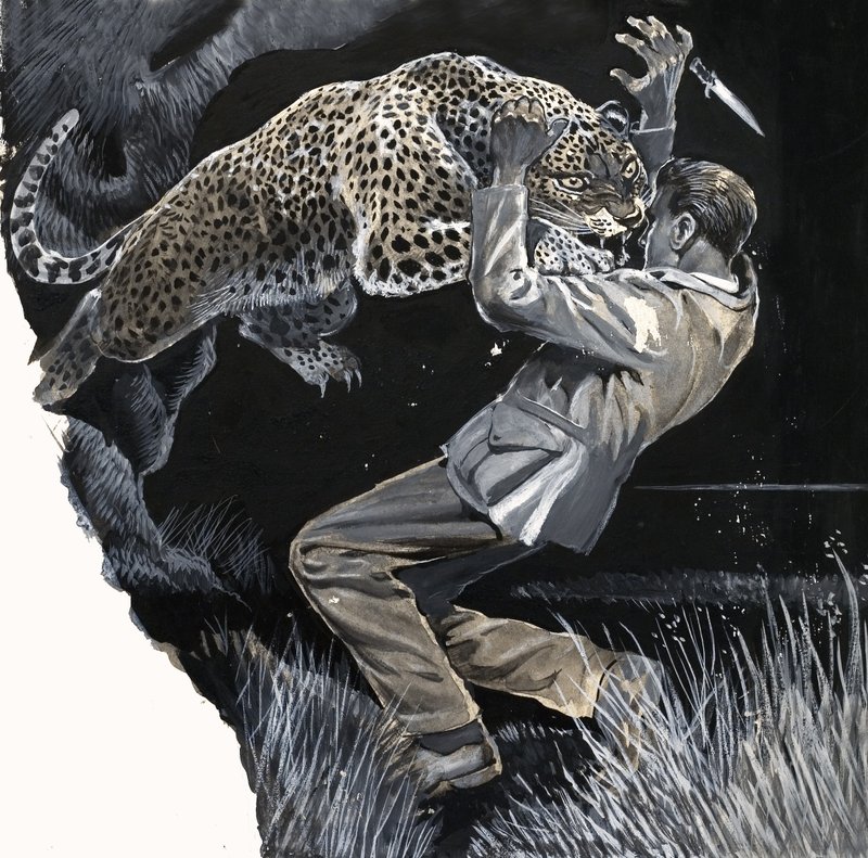 Hombre no identificado siendo atacado por un leopardo de English School