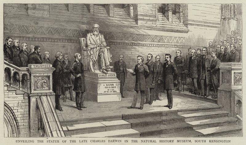 Inauguración de la Estatua del Difunto Charles Darwin en el Museo de Historia Natural, South Kensington de English School