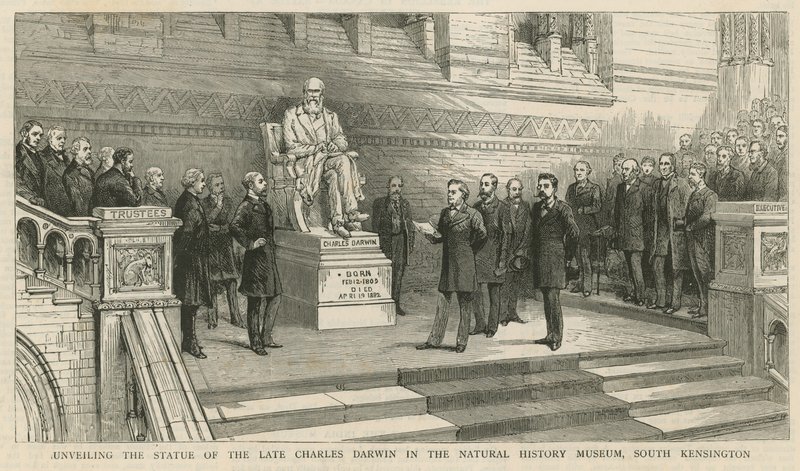 Inauguración de la estatua del difunto Charles Darwin en el Museo de Historia Natural, South Kensington de English School