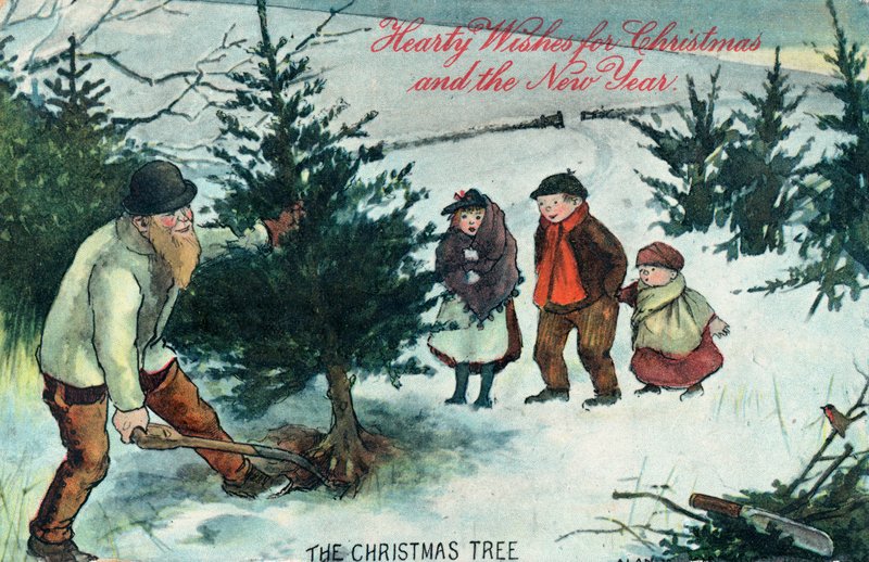 Desarraigando el árbol de Navidad de English School