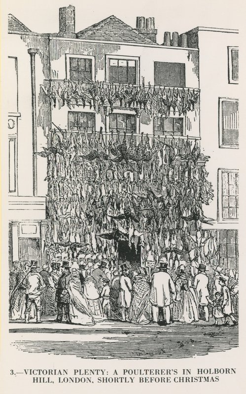 Abundancia victoriana de English School