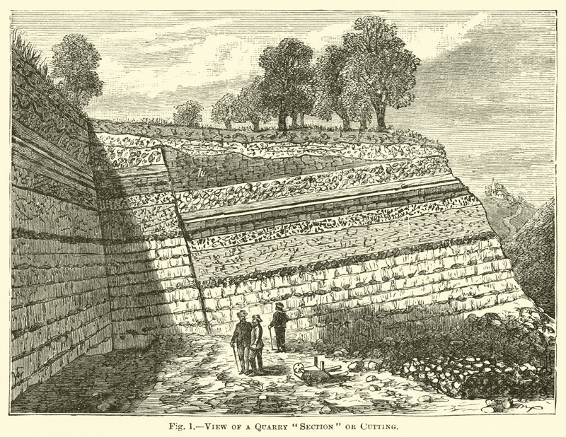 Vista de una sección de cantera o corte de English School
