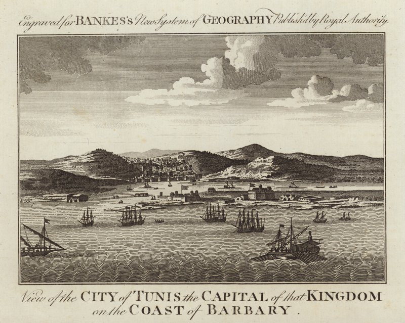 Vista de la ciudad de Túnez de English School
