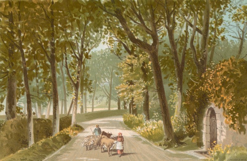 Vinchelez Lane--Jersey de English School