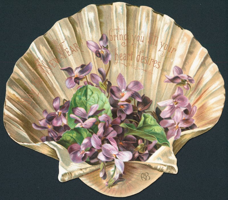 Violetas en concha de almeja, tarjeta de Año Nuevo de English School