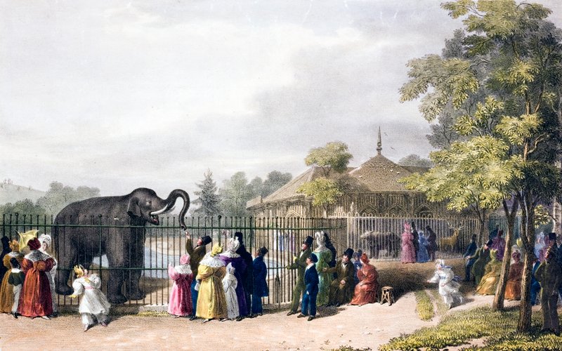 Visitantes del zoo de Londres, Regent