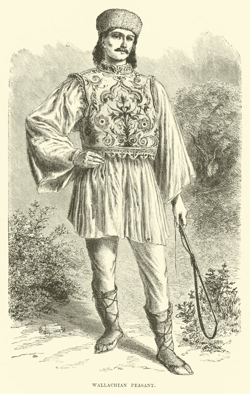 Campesino valaco de English School