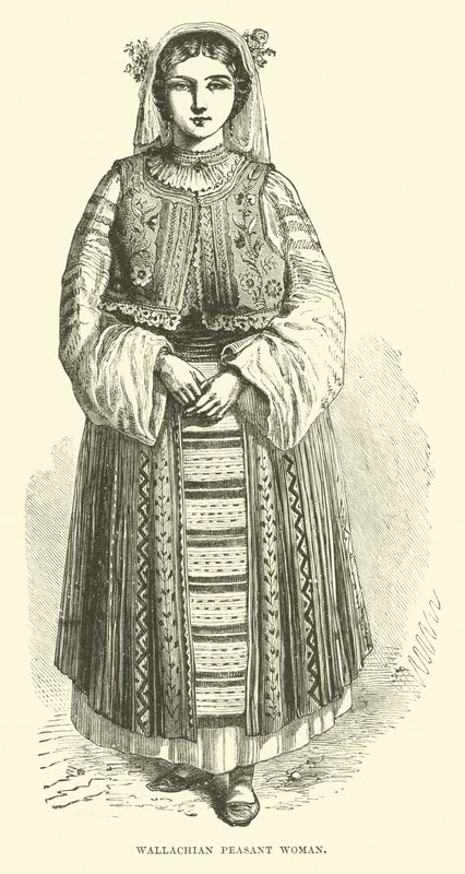 Campesina valaca de English School