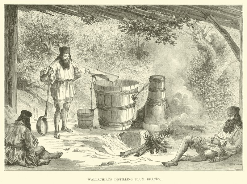 Valacos destilando aguardiente de ciruela de English School