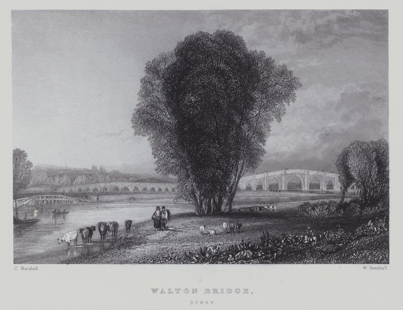 Puente Walton, Surrey de English School