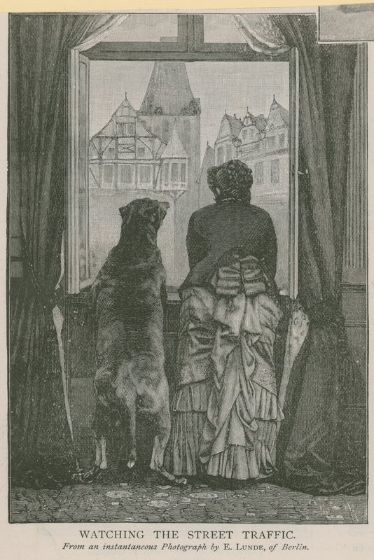 Observando el tráfico de la calle de English School