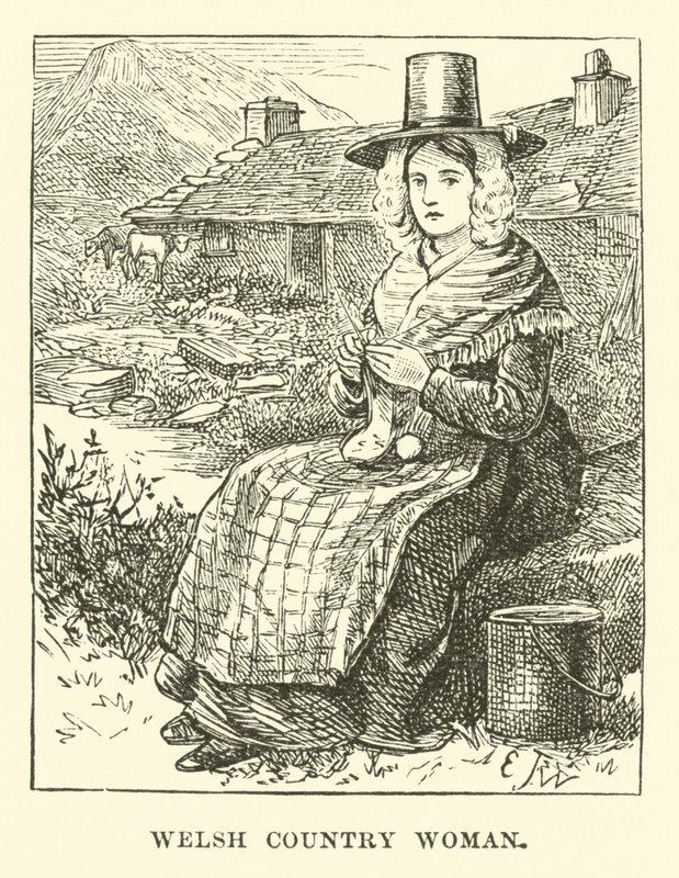 Campesina galesa de English School