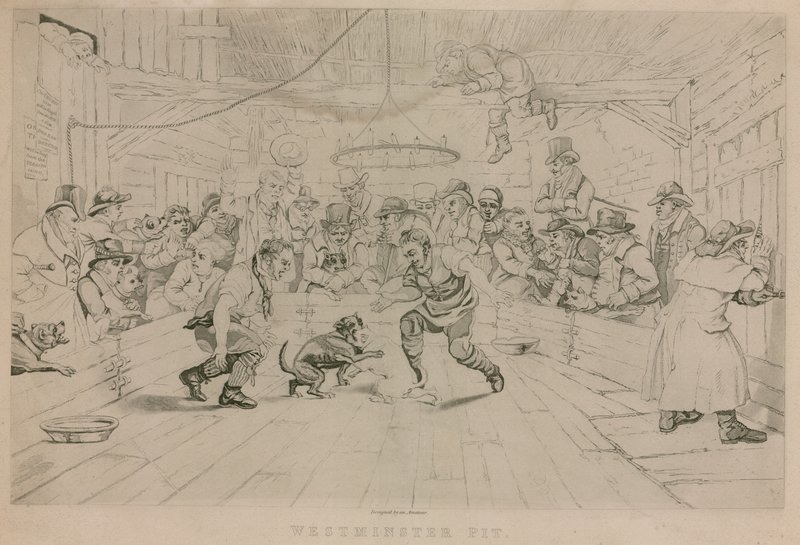 Westminster Pit de English School