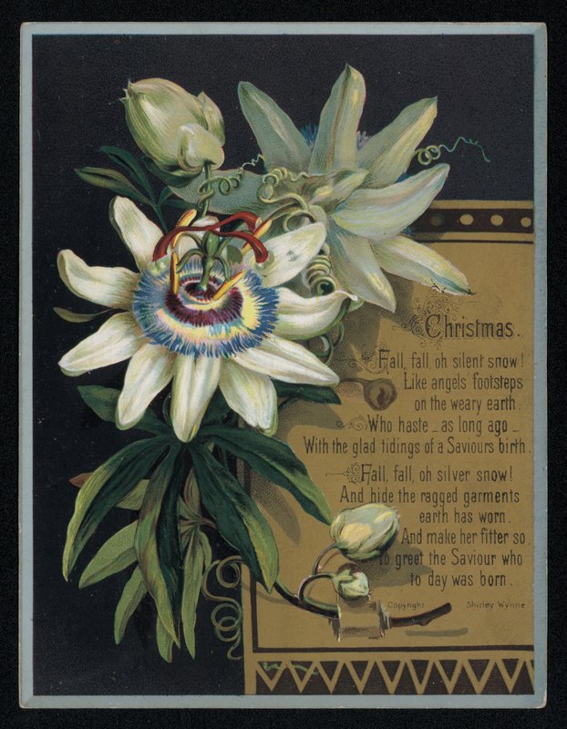Flor de la pasión blanca, tarjeta de felicitación navideña de English School