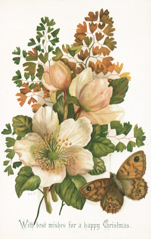 Rosas silvestres y mariposa de English School
