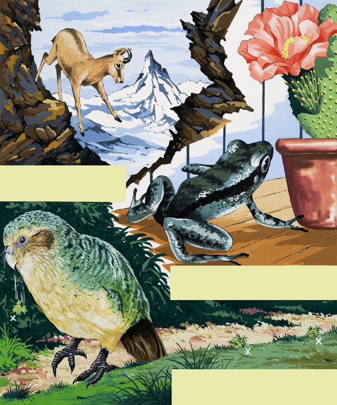 Montaje de vida silvestre de English School