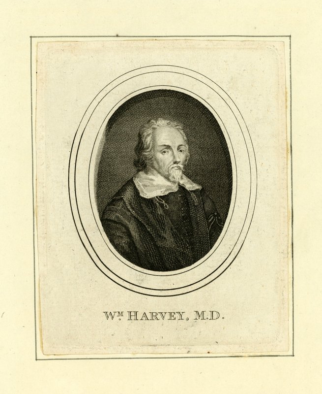 William Harvey de English School
