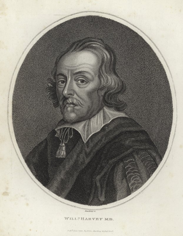 William Harvey de English School