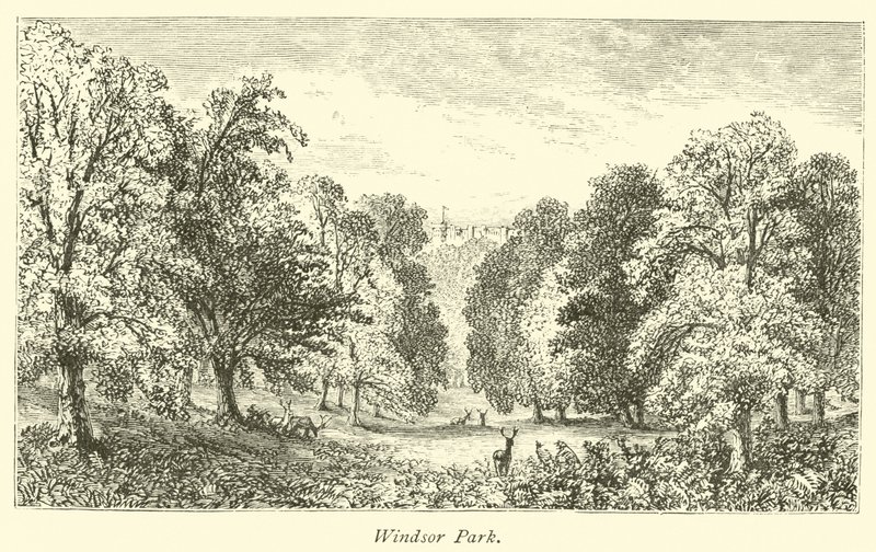 Parque de Windsor de English School