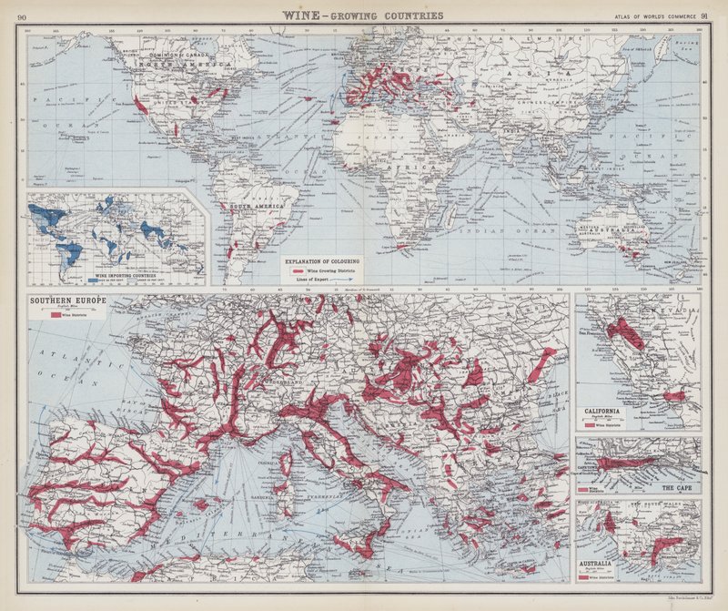 Vino, países productores (litografía en color) de English School