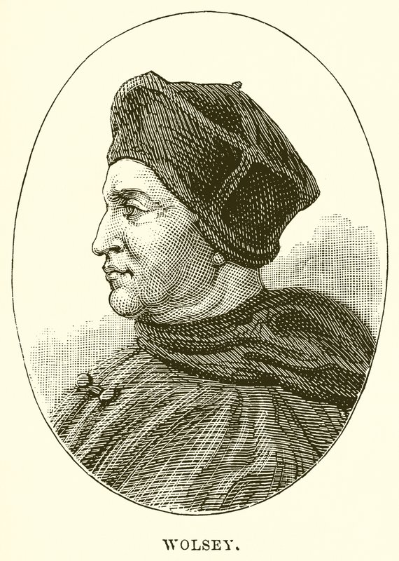 Wolsey de English School