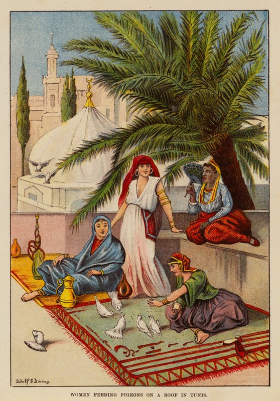 Mujeres alimentando palomas en un tejado de Túnez (litografía en color) de English School