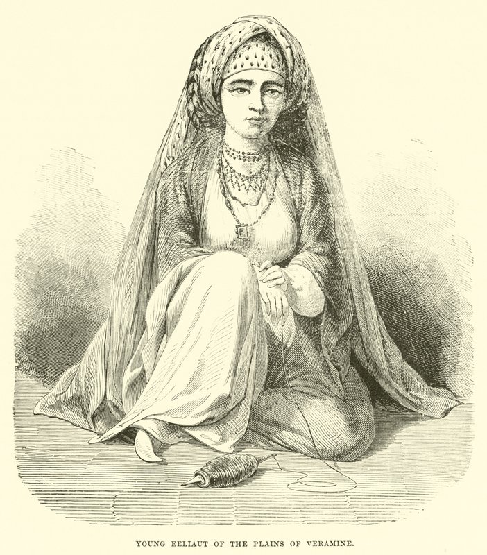 Joven Eeliaut de las llanuras de Veramine de English School