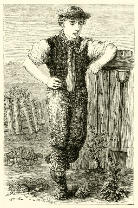 Joven jardinero de English School