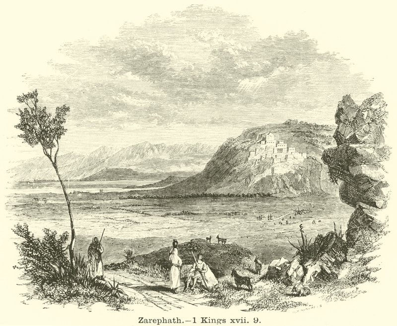 Zarepta de English School