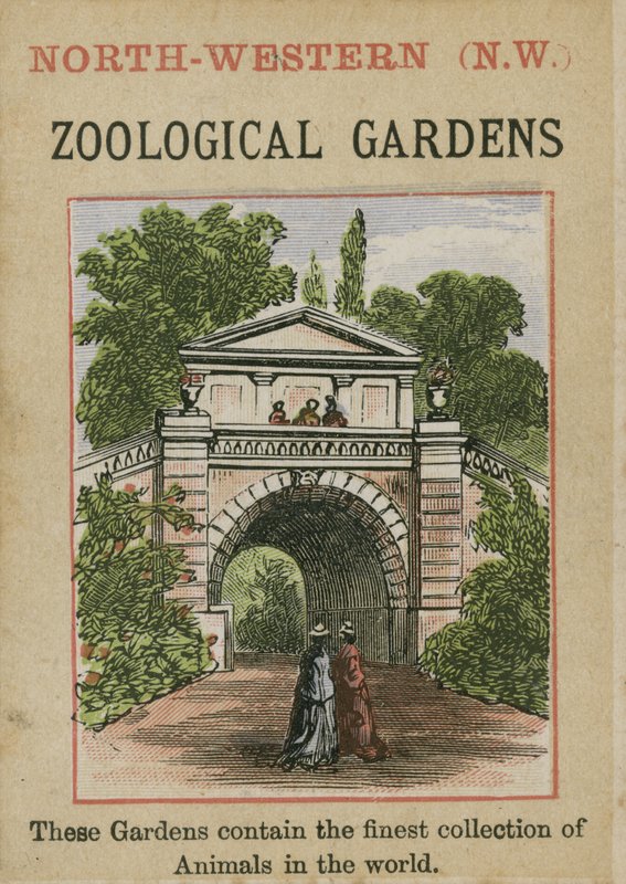 Jardines Zoológicos de English School