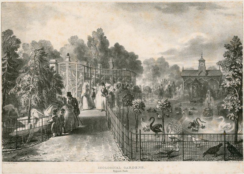 Jardines Zoológicos, Regents Park de English School