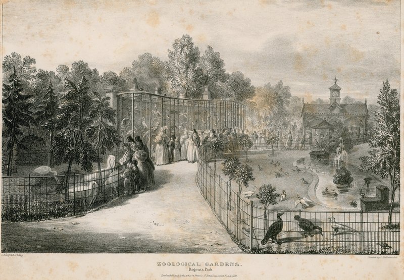Jardines Zoológicos, Regents Park de English School