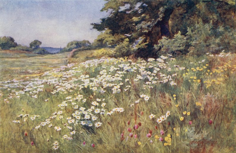 Luz del sol en el prado de Ernest Benger or Berenger
