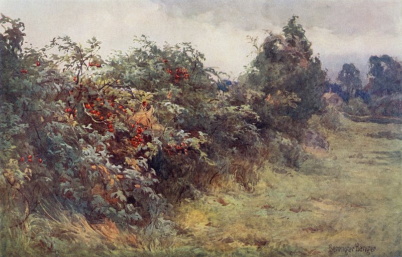 La Revelación de la Madurez de Ernest Benger or Berenger