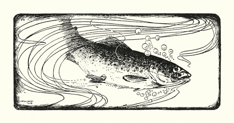 Salmón enganchado (litografía) de Ernest Edward Briggs