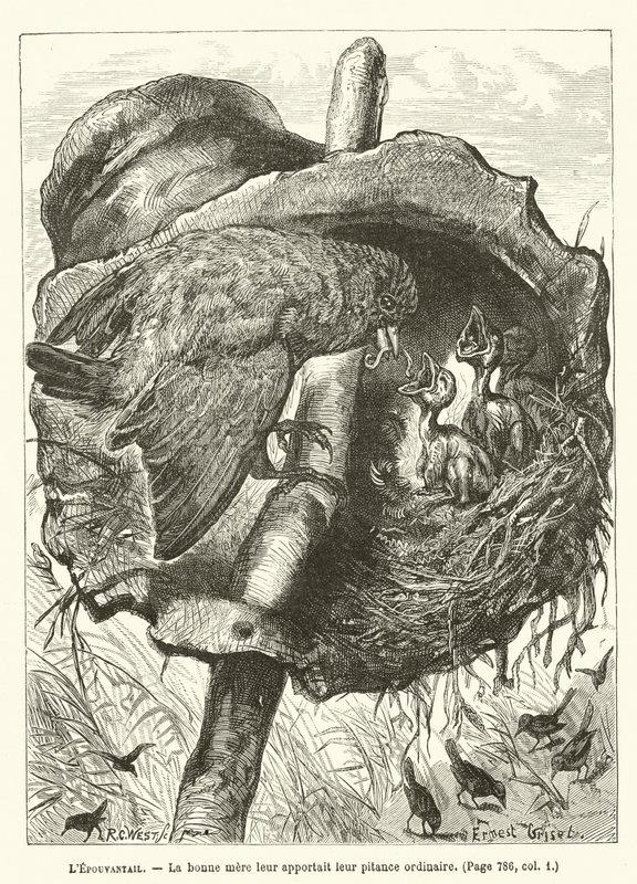 El Espantapájaros, La buena madre les traía su comida ordinaria de Ernest Henry Griset
