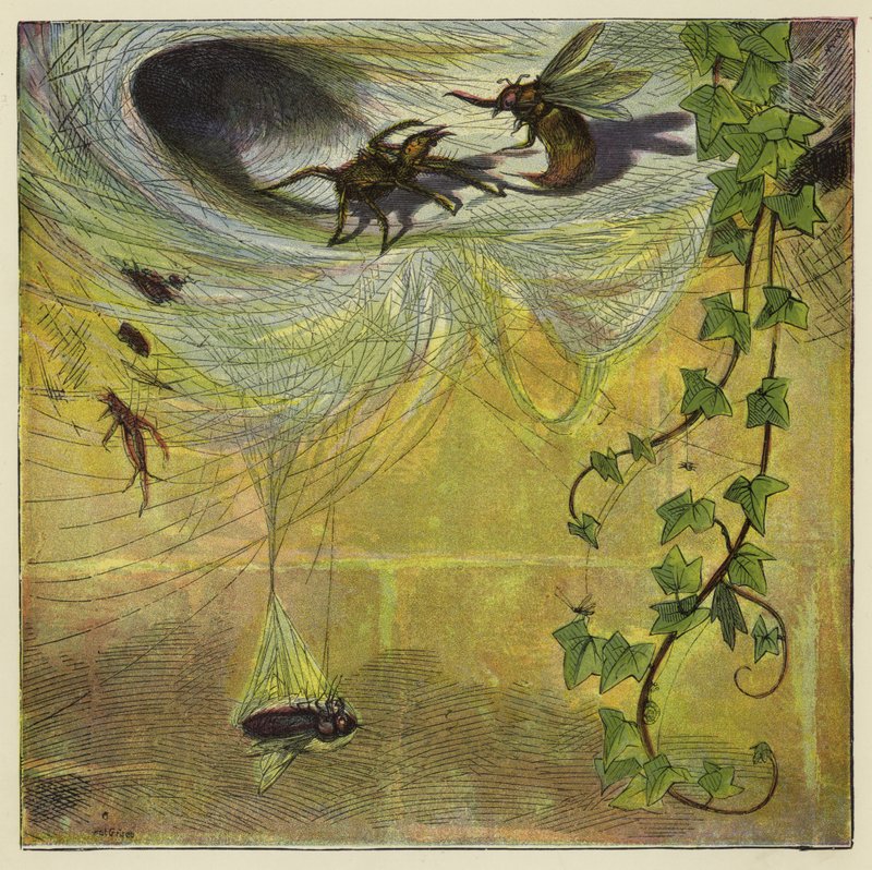 Araña, mosca y abeja de Ernest Henry Griset