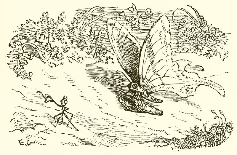 La hormiga y la crisálida de Ernest Henry Griset