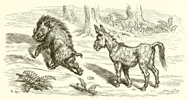 El Jabalí y el Asno de Ernest Henry Griset