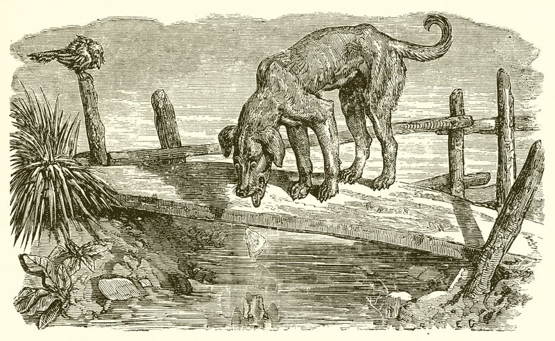 El Perro y su Sombra de Ernest Henry Griset
