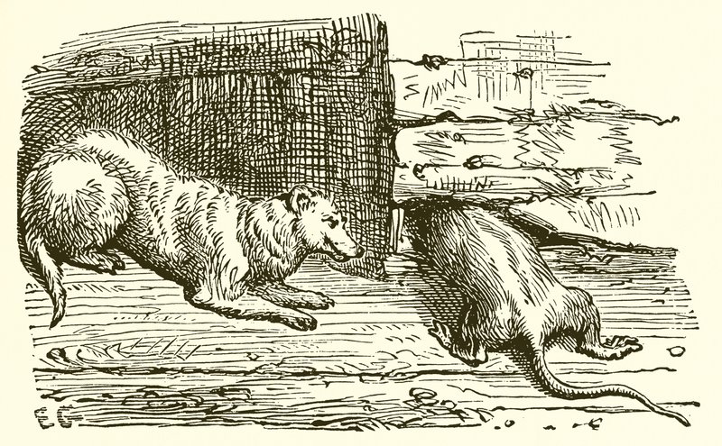 El Ratón y la Comadreja de Ernest Henry Griset