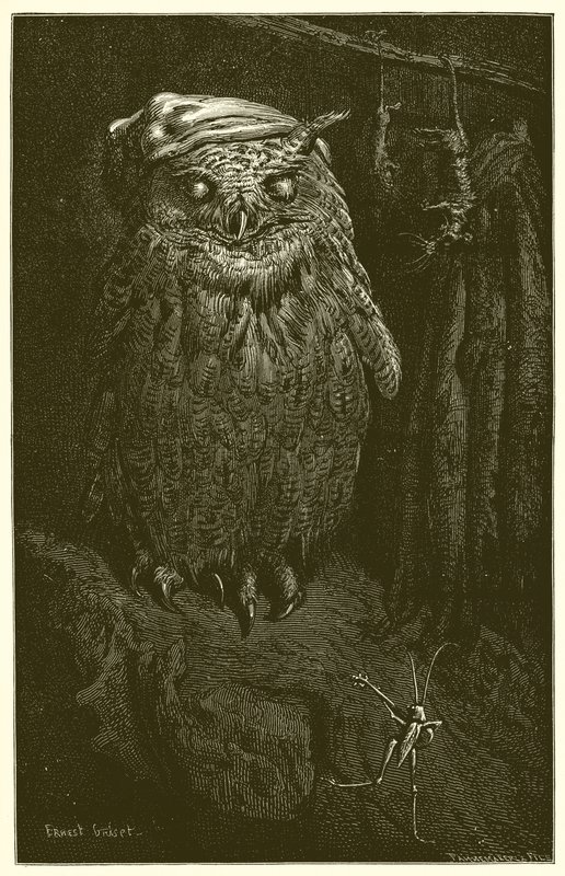 El búho y el saltamontes de Ernest Henry Griset
