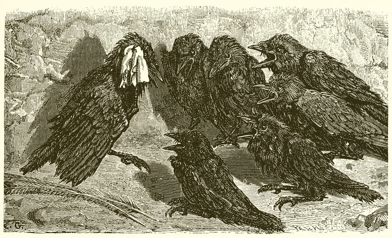 El vanidoso grajo de Ernest Henry Griset