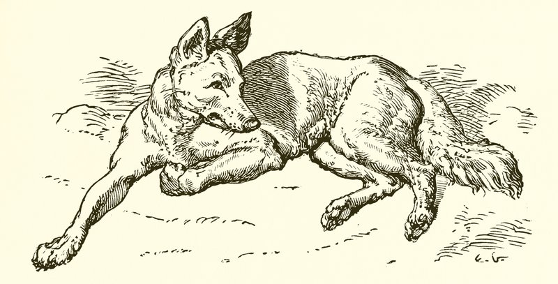 El lobo con piel de oveja de Ernest Henry Griset