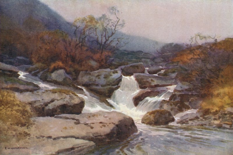 Un arroyo de Dartmoor (litografía en color) de Ernest William Haslehust