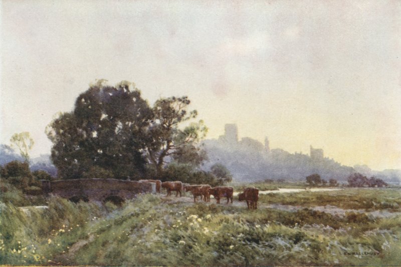 Dorchester desde los prados (litografía en color) de Ernest William Haslehust