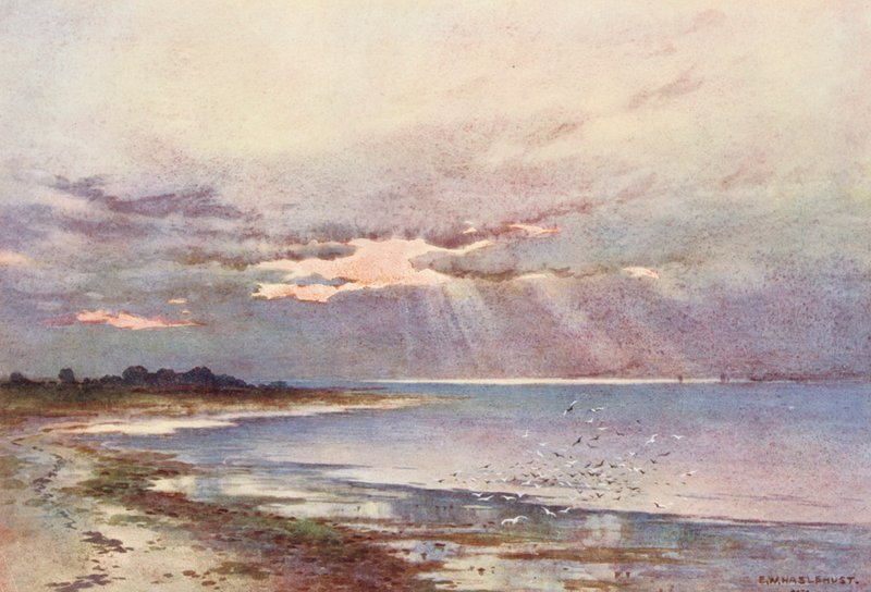 Río Támesis: Mirando hacia el sur hasta el Nore (litografía en color) de Ernest William Haslehust