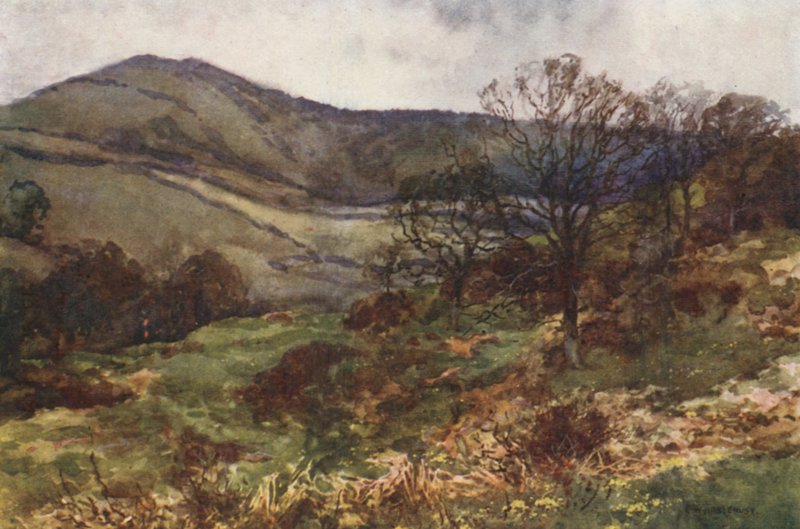 Shanklin Down, principios de la primavera (litografía en color) de Ernest William Haslehust